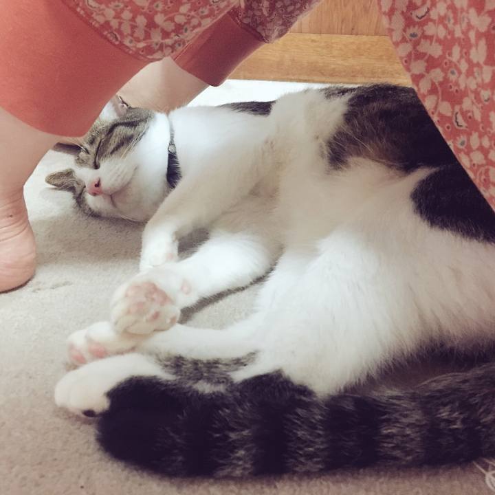 2a08f2cf 98f8 47fd 93a0 f0935a4c2c90 1537799399964