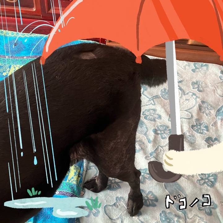 2a090dc4 d1d1 4d88 b36b d5da68f9a91b 1749213107099