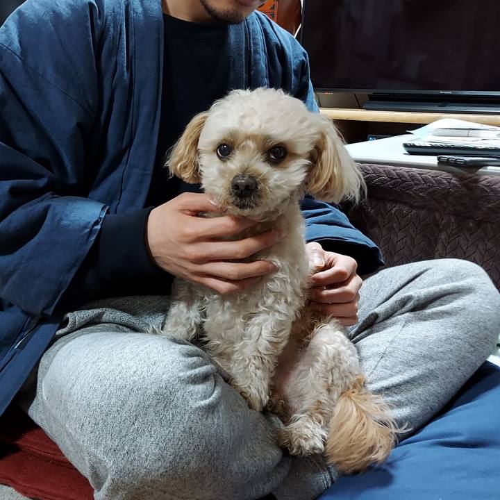 2a091445 5369 494b 917f e0ed8b9fd77c 1672831036414