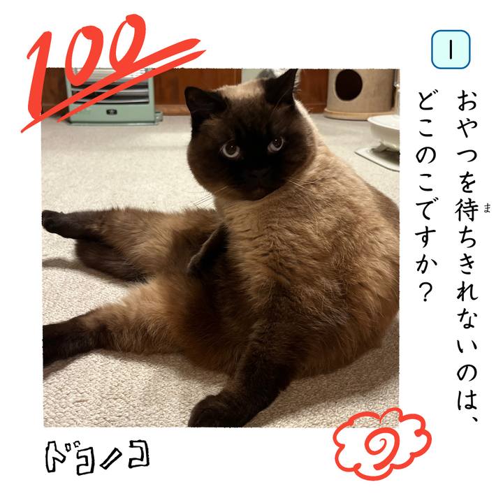 2a0977a9 16d7 488e 9fee 59f13c96c148 1744373508860