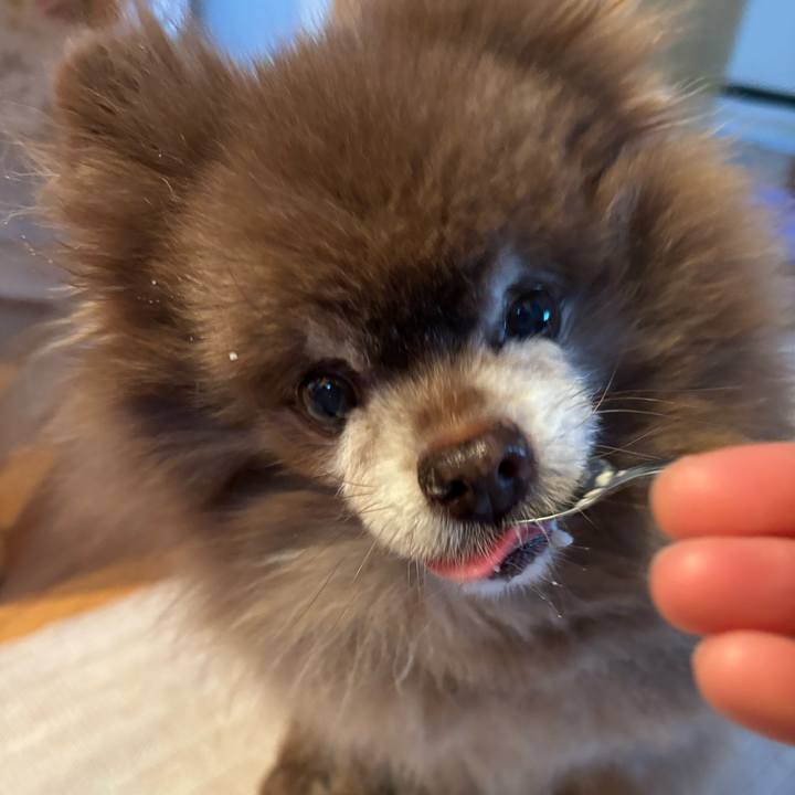 2a097f77 01c7 47ec adb8 d96f516f0380 1771367820343