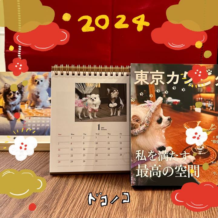 2a099f8f aa38 4065 a14d a1a83ebe14ea 1704087592199