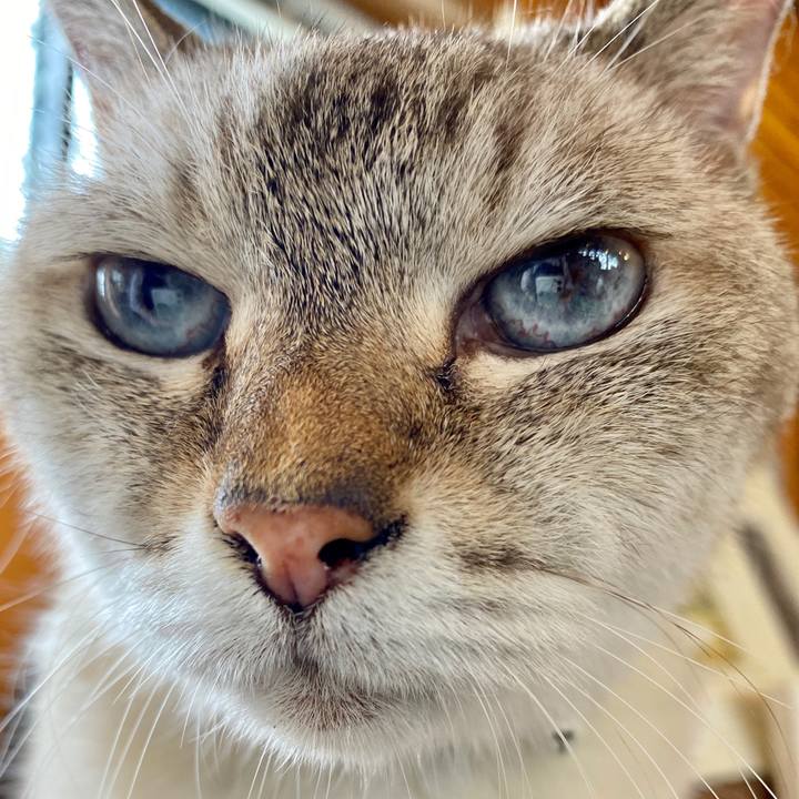 2a09a1f7 4a9d 4283 9083 a60120ff0e90 1600315966691