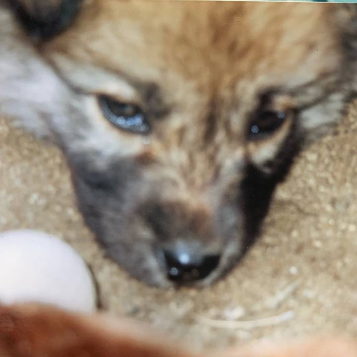 2a09b1de 8da5 47a9 8401 b0c5d80e8d30 1566218669227