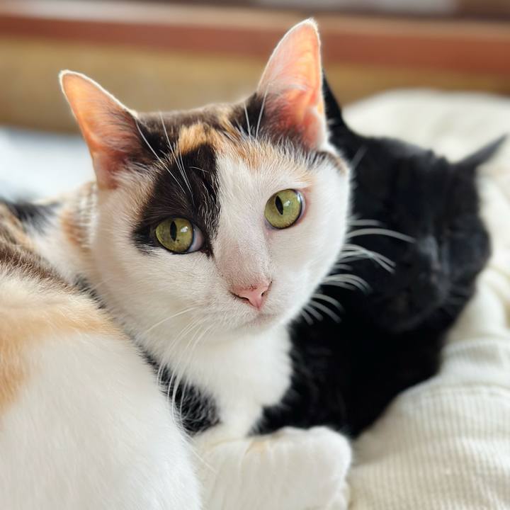 2a09ddca a595 4fb3 b2ab 4d55edcc48db 1687397184049