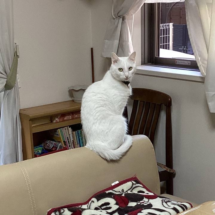 2a09ee6a acce 478d a679 5cbc1d4e236d 1651311167285