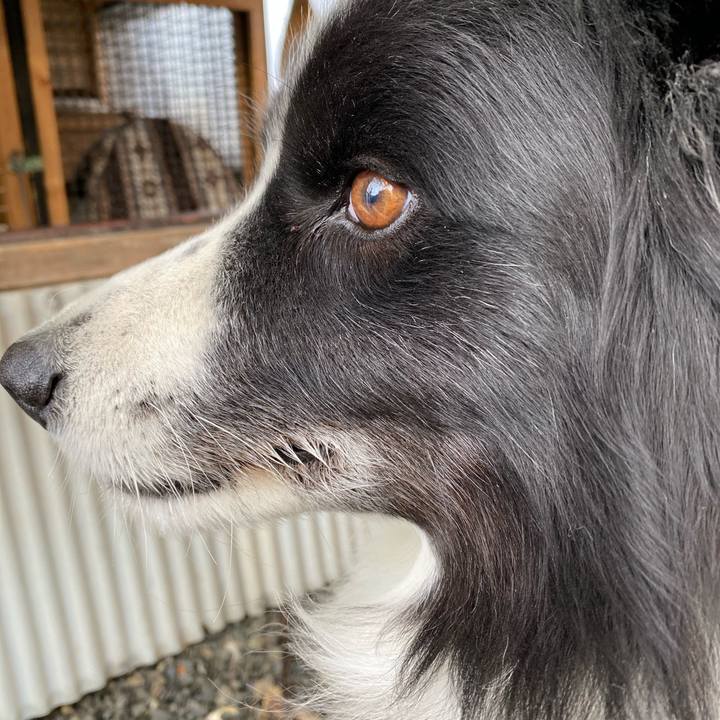 2a0a07c0 b44b 4fc0 b918 5347808600a9 1606547669756