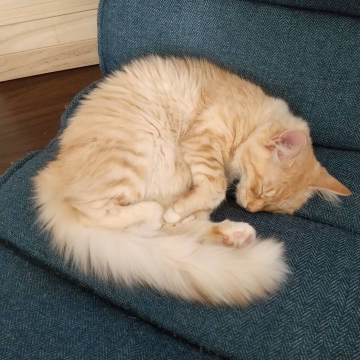 2a0a2f43 7270 45d2 b1a4 74809c6cd7c0 1613531429739