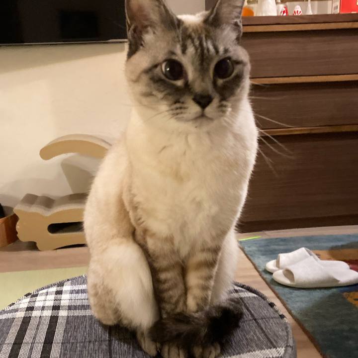 2a0a3fe6 82ce 4f24 935b 16b680b03eb3 1644754067708