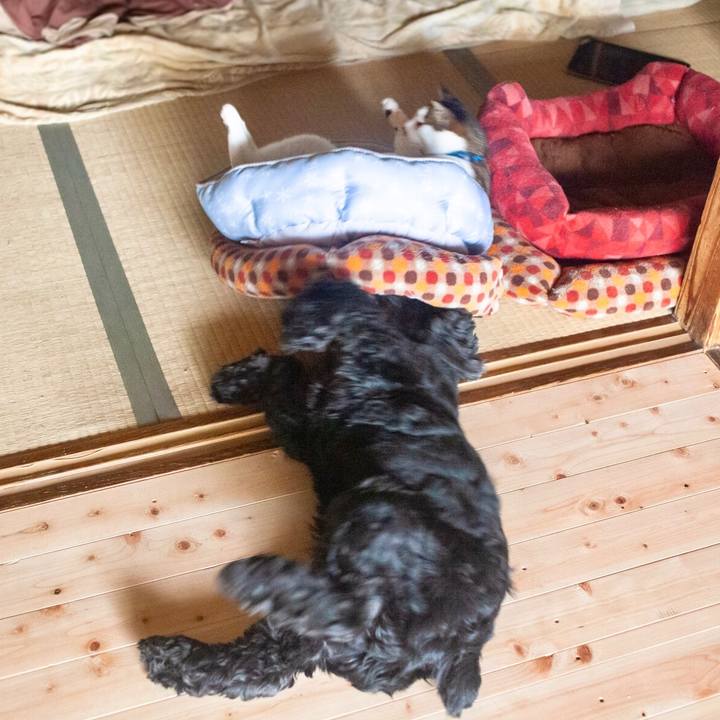 2a0a4944 d8b7 4f65 afdf c64897a7a816 1594699030844