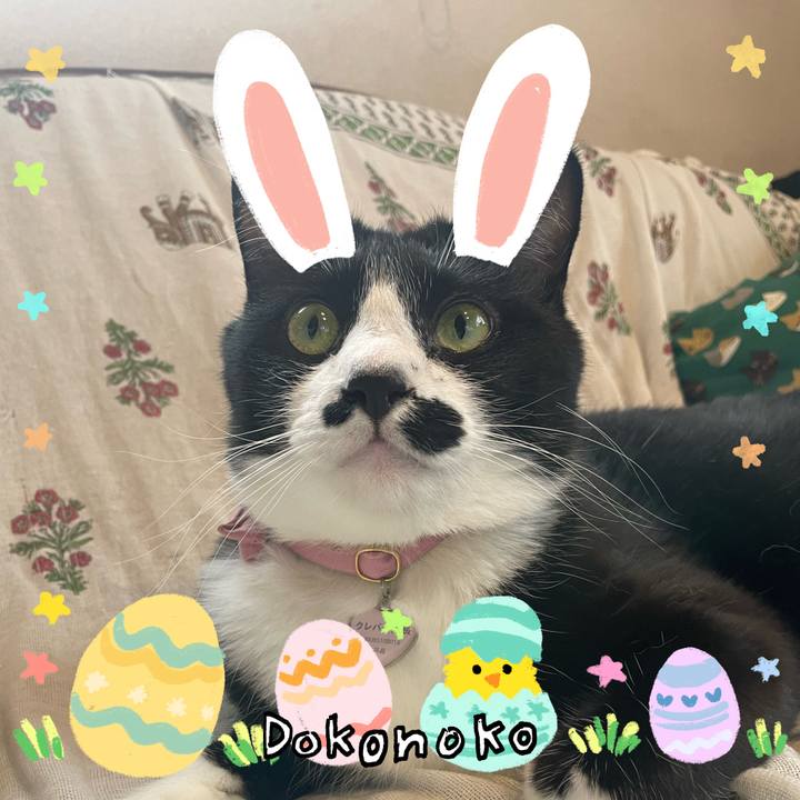 2a0a6c32 b478 4f63 b836 18b5a6ad63bc 1712197868051