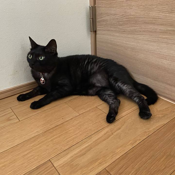 2a0a9590 a152 4c2c 887c 50d507df3608 1595215772944