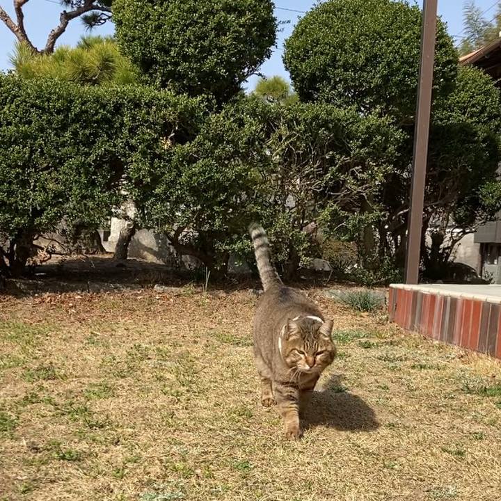 2a0aa6a3 15ed 4d29 9f75 3a5005632511 1647479977250