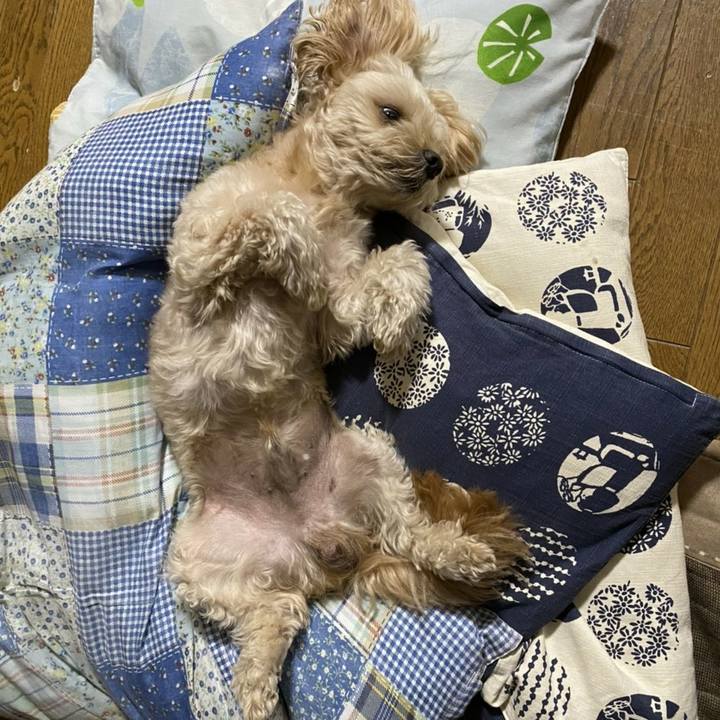 2a0aad93 13fb 4b96 ada9 3e75b0058e5b 1600856293887