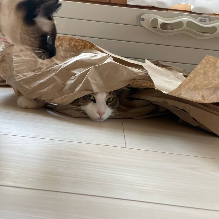 2a0ae788 26db 496b 9cc7 2c365ba9c473 1718829952026