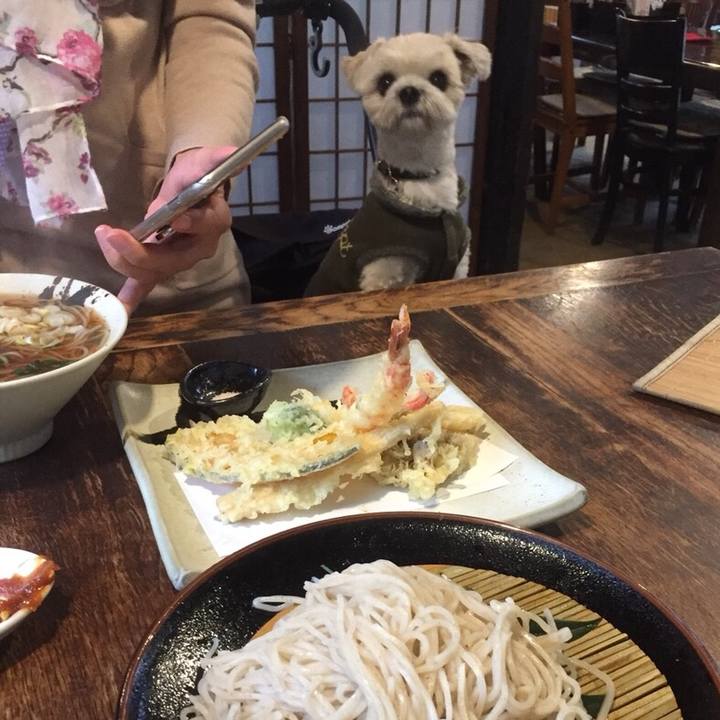 2a0aeb35 704a 4632 b34c 0083dbab3e6f 1510139904638