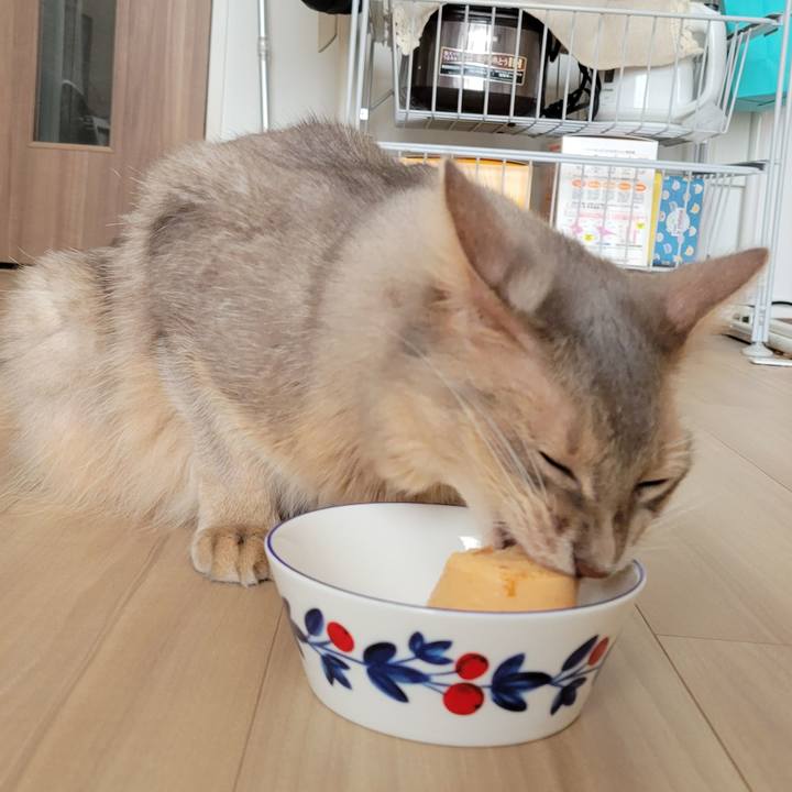 2a0b0f98 f495 425a 8f9b 869e6ed0bff4 1659873233233