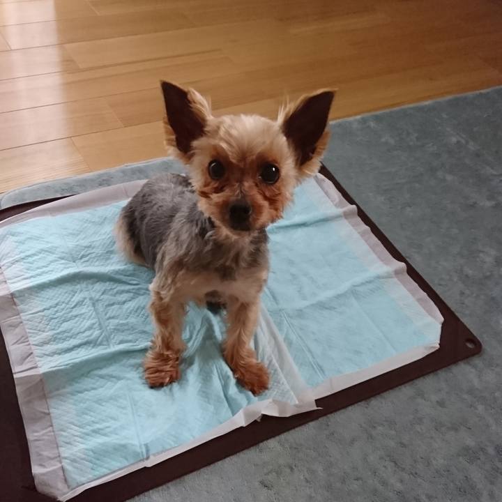 2a0b2109 c9e4 496b b452 535750d96a7a 1525522870555