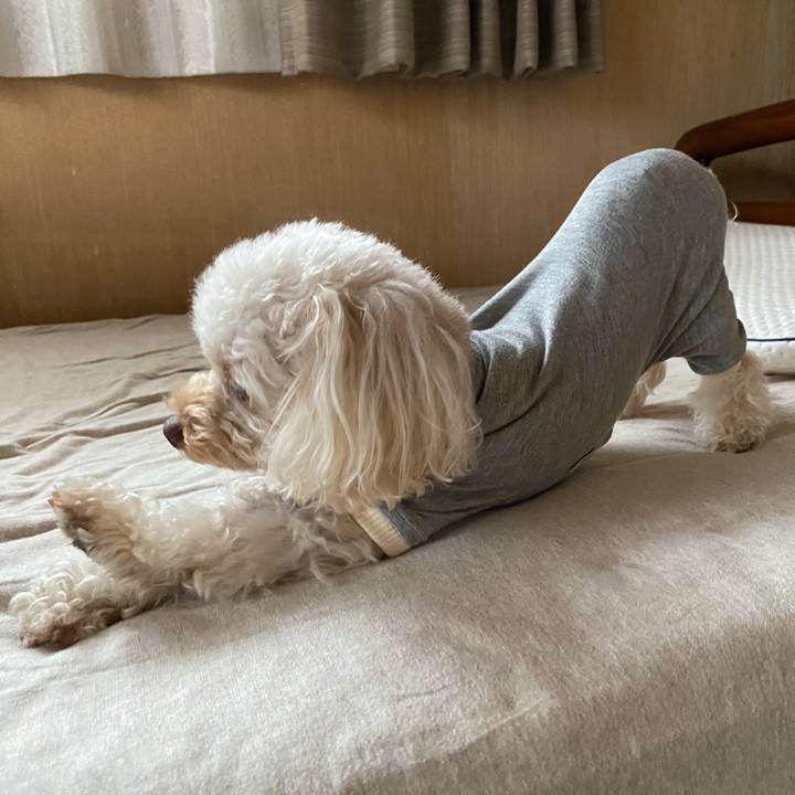 2a0b5bb1 3175 4ec8 933d a5b4945db5e1 1620175335556