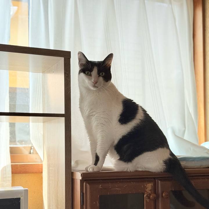 2a0b7cb8 7551 4ca8 9647 1a2d86cc378f 1755822324806