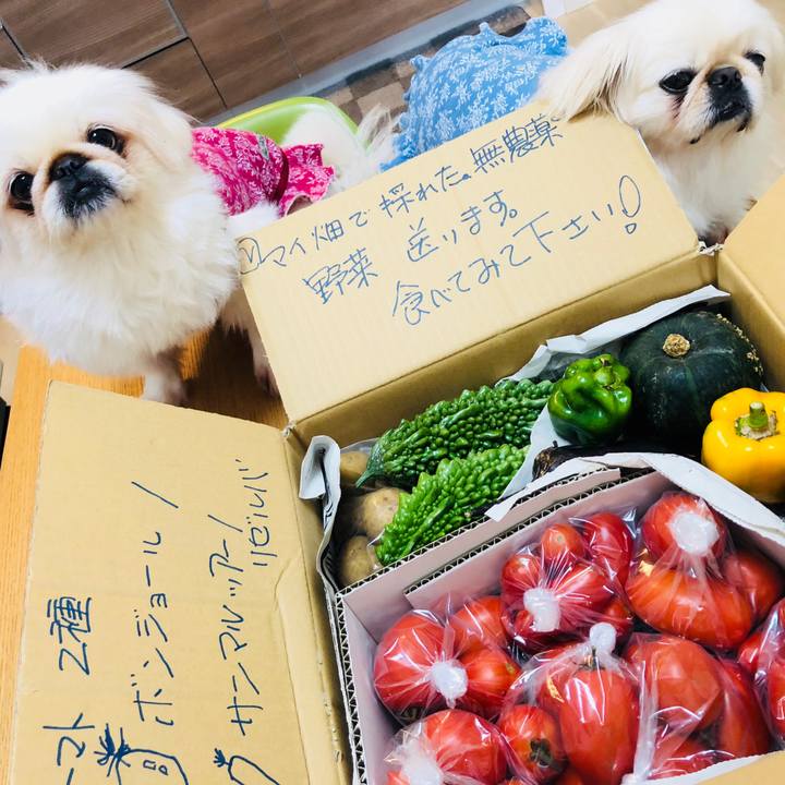 2a0b981d 5a6d 49cf ab8d eacba321fd7d 1570444726139