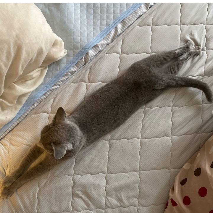 2a0b9c1d d8e4 4102 9be2 5922213df25a 1656975806532