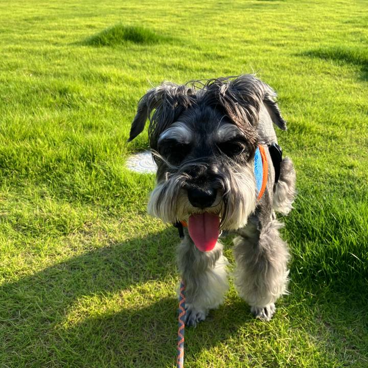 2a0bc09f db8a 4090 9ebb a4eeb0cd5fb5 1722776807756