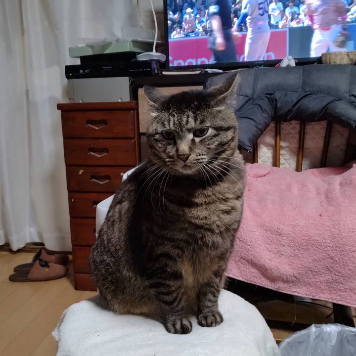 2a0bde68 191d 4c08 820c 71e348b10851 1715552982820