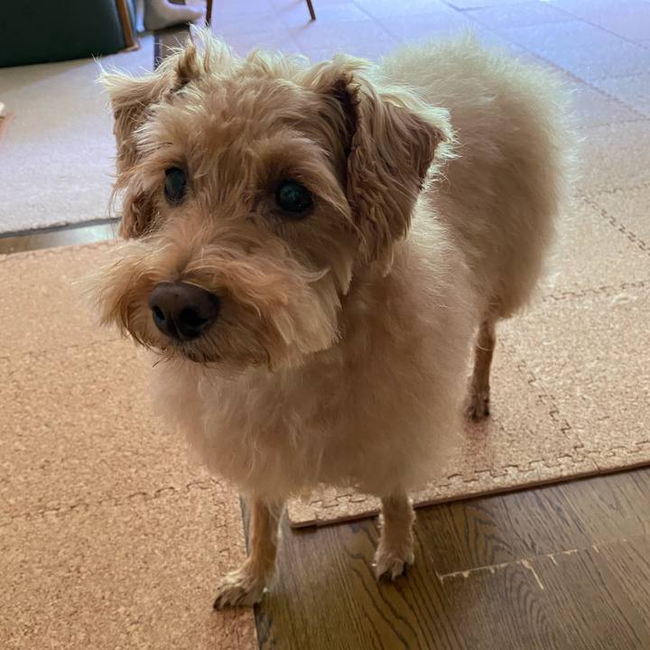 2a0be194 a7e8 4271 9f7f 57a848c700bc 1659836033036