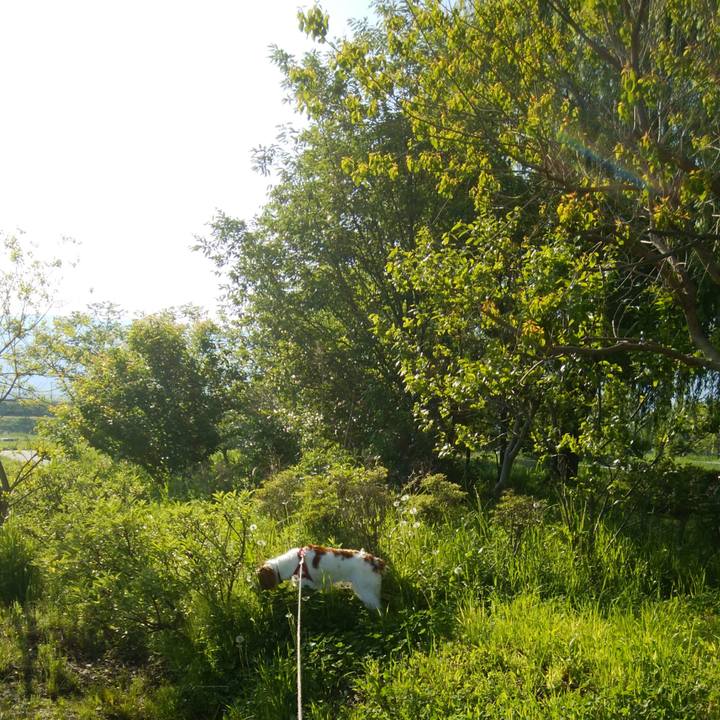 2a0beffc e3fb 49b9 b558 e6d22531b8cc 1524961113651