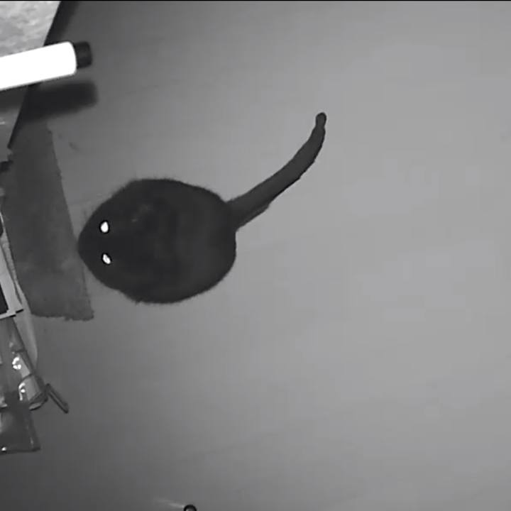 2a0bf18a e135 4a00 a1ac b00103915460 1512645333913