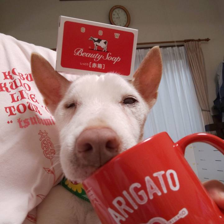 2a0c275f c26b 43c5 bfcb 2c2f72472031 1566000722727