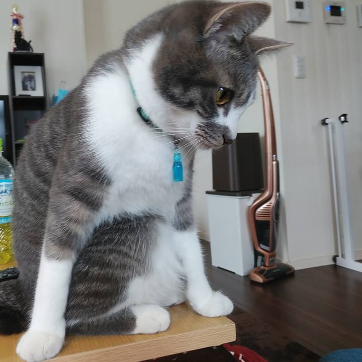 2a0c48c1 f165 4695 a6ab 8e09447efc71 1582592409452