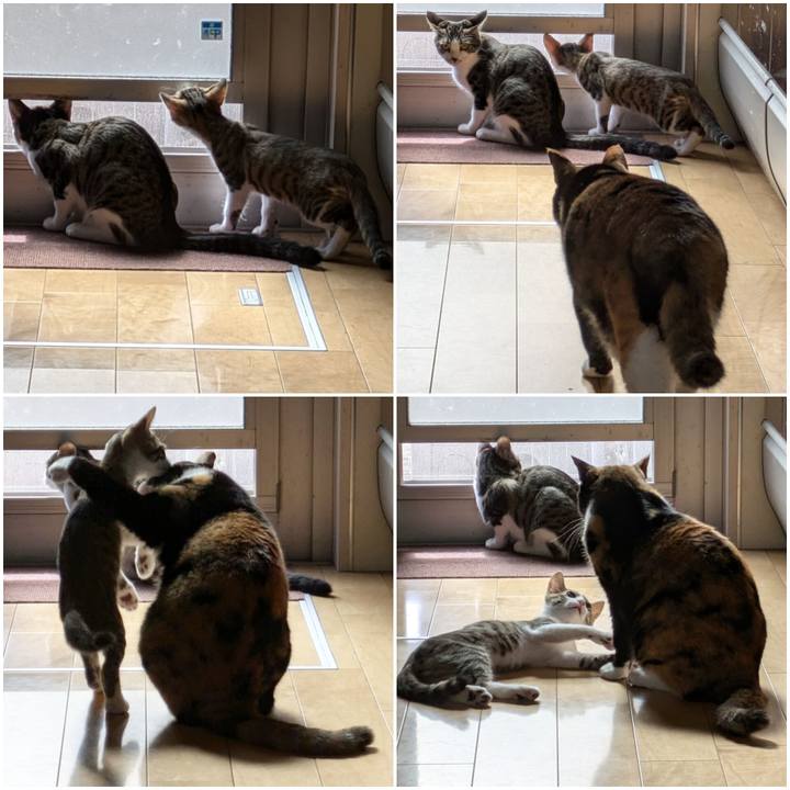 2a0c64f8 c225 4dac b4cf d12cd7e4c2b8 1729842919702