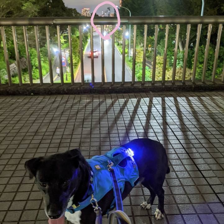 2a0cd26e 900f 4f21 83b8 abeab769c97c 1695467644029