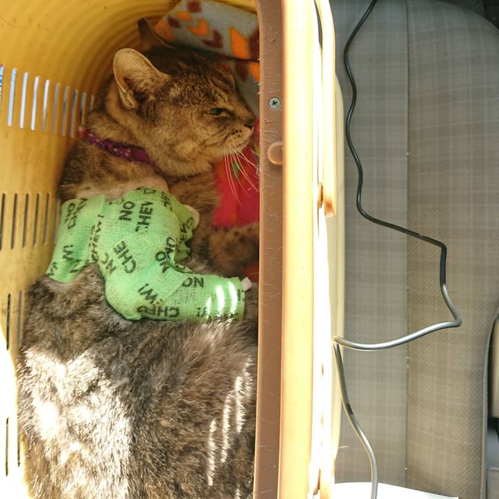 2a0d073d f4fe 4197 a2bf f1af2907ca92 1587020063548