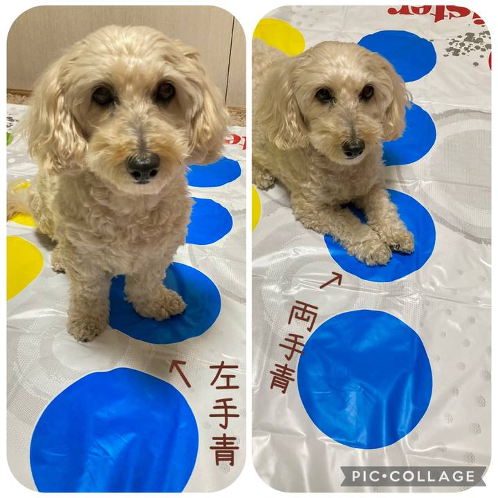 2a0d118f e4b7 41b7 b762 ef55c0f713ee 1767679469524