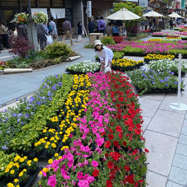 2a0d1871 4e21 4086 b9e3 b76f1e9aa00b 1651556473115