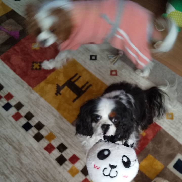 2a0d47cd 9df7 49c4 b8c5 83735769403e 1582544846403