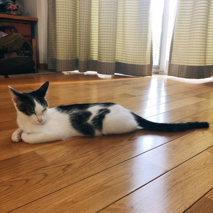 2a0d5d02 260c 4434 b59a 592a1f55e6cb 1570146233661