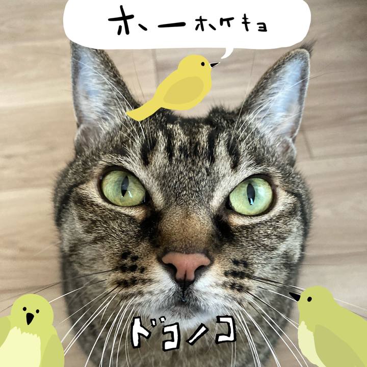 2a0d640d aa44 40b5 b8e0 ba982b34711e 1710998440381