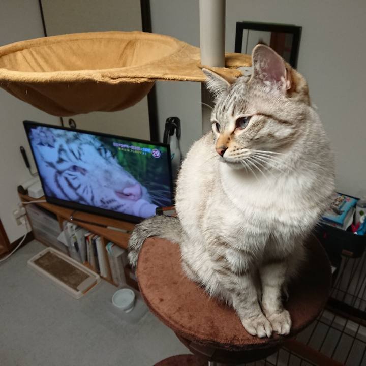 2a0d70fe 19be 443d 8dc6 e0f28e659e16 1555158093318