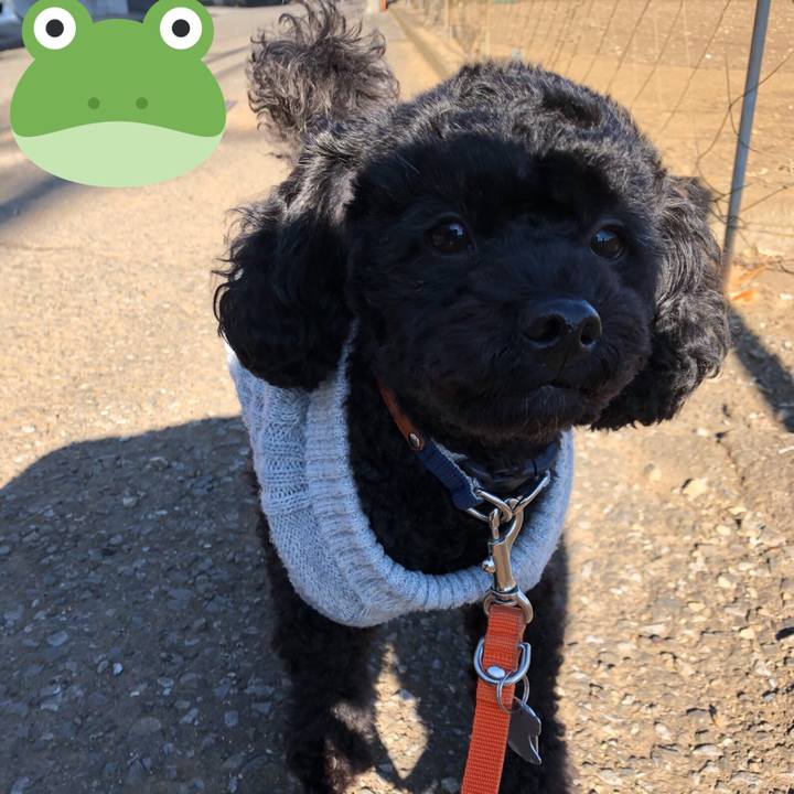 2a0da228 f825 4976 9716 d5fab30cde54 1547436377770