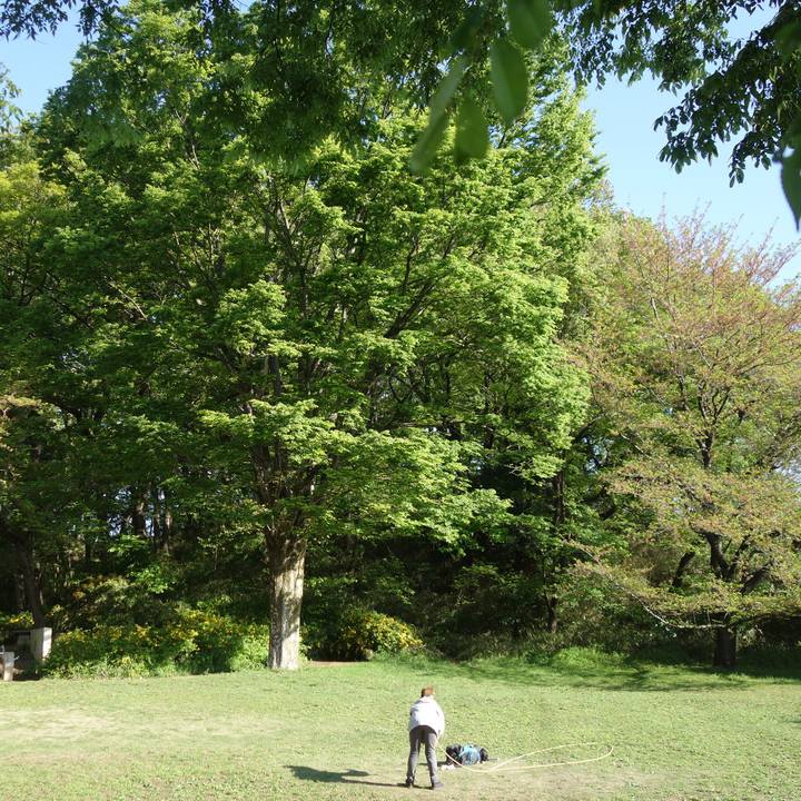 2a0dc62f fdba 4f56 a8fa d02aa354e300 1618015785811