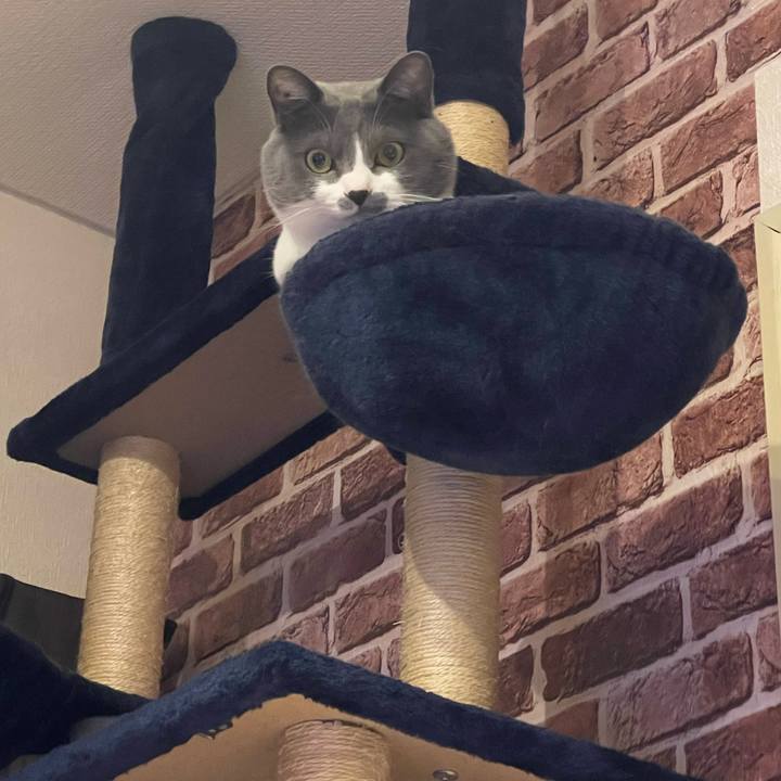 2a0e11de 3eb6 449d 9677 aa678cac1d07 1671721634424