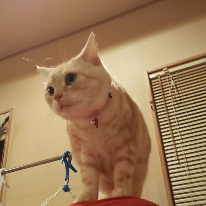 2a0e231e f820 478b a8a8 5656b7ec3b4e 1539764320579