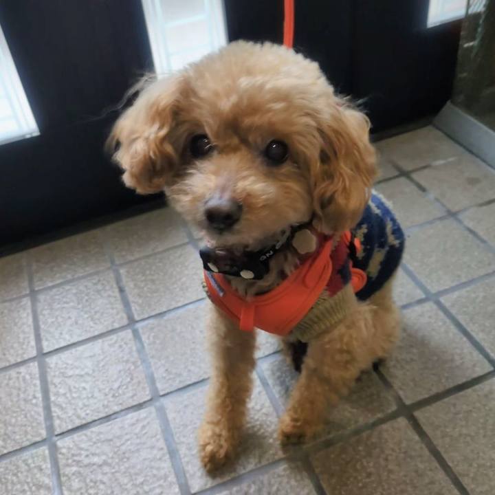 2a0e32db 196d 42ac 8df7 b98cb59ed836 1767832977093