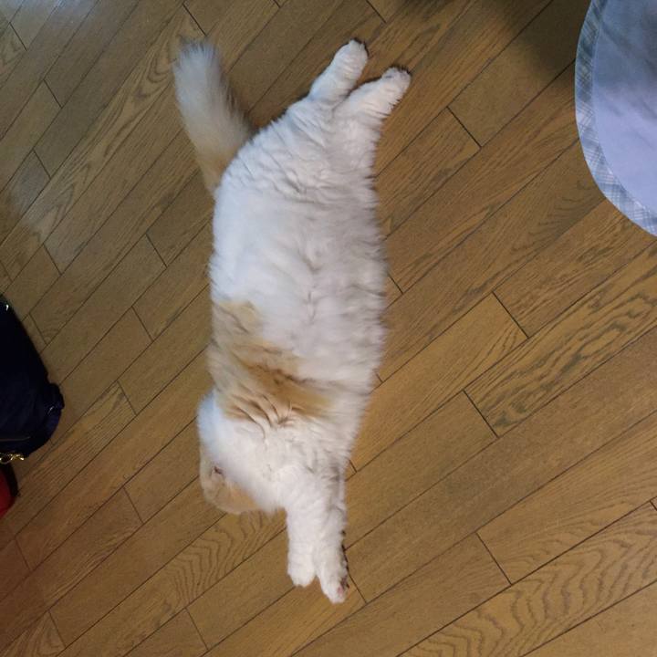 2a0e773a b6eb 4657 b600 56bb18646cd3 1533648922839