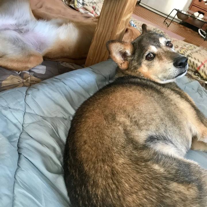 2a0e7b57 36bf 497e 8c7c ae5bbd512ae4 1533648082803