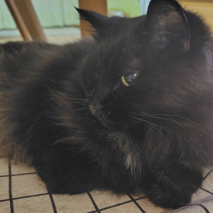 2a0edae3 7fc1 4307 b4ce fc52ecd2f305 1751550870099